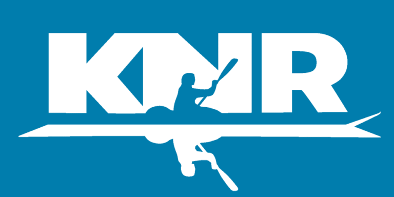 Revision of Article on Placement Cases in This Country Revision of Article on Placement Cases in This Country