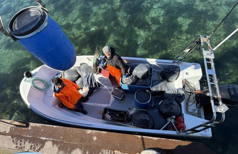 Disappointing Rockfish Fishing: What Went Wrong?