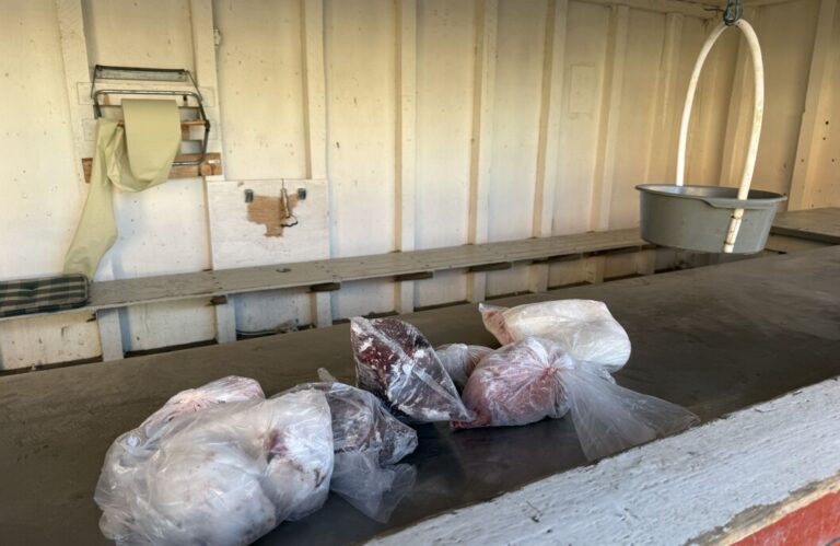 Popular Greenlandic Frozen Foods Now Available Popular Greenlandic Frozen Foods Now Available