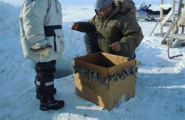 Qaanaaq Fishermen Optimistic About Future Development