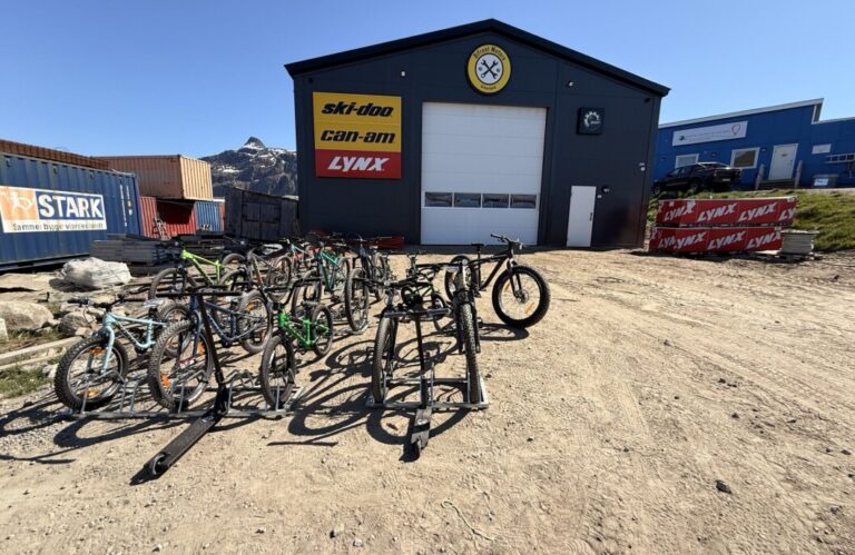 Bifrost Motors Secures Future with Mountain, Electric, and BMX Bikes