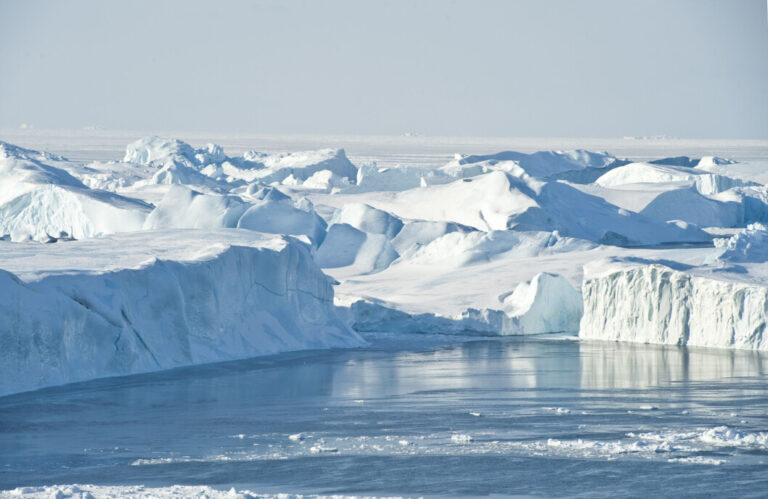Ilulissat Ice Swimming Festival: A Unique Arctic Celebration