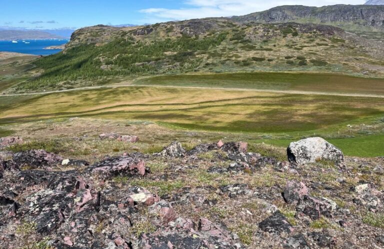 June Drought Impact on Sheep Farming and Grasslands